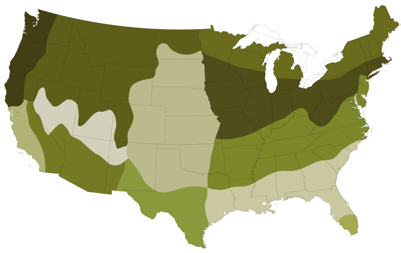 Grass Seeds Types By Region Nature S Seed