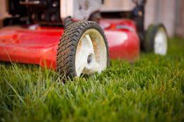 grass clippings as mulch pros and cons