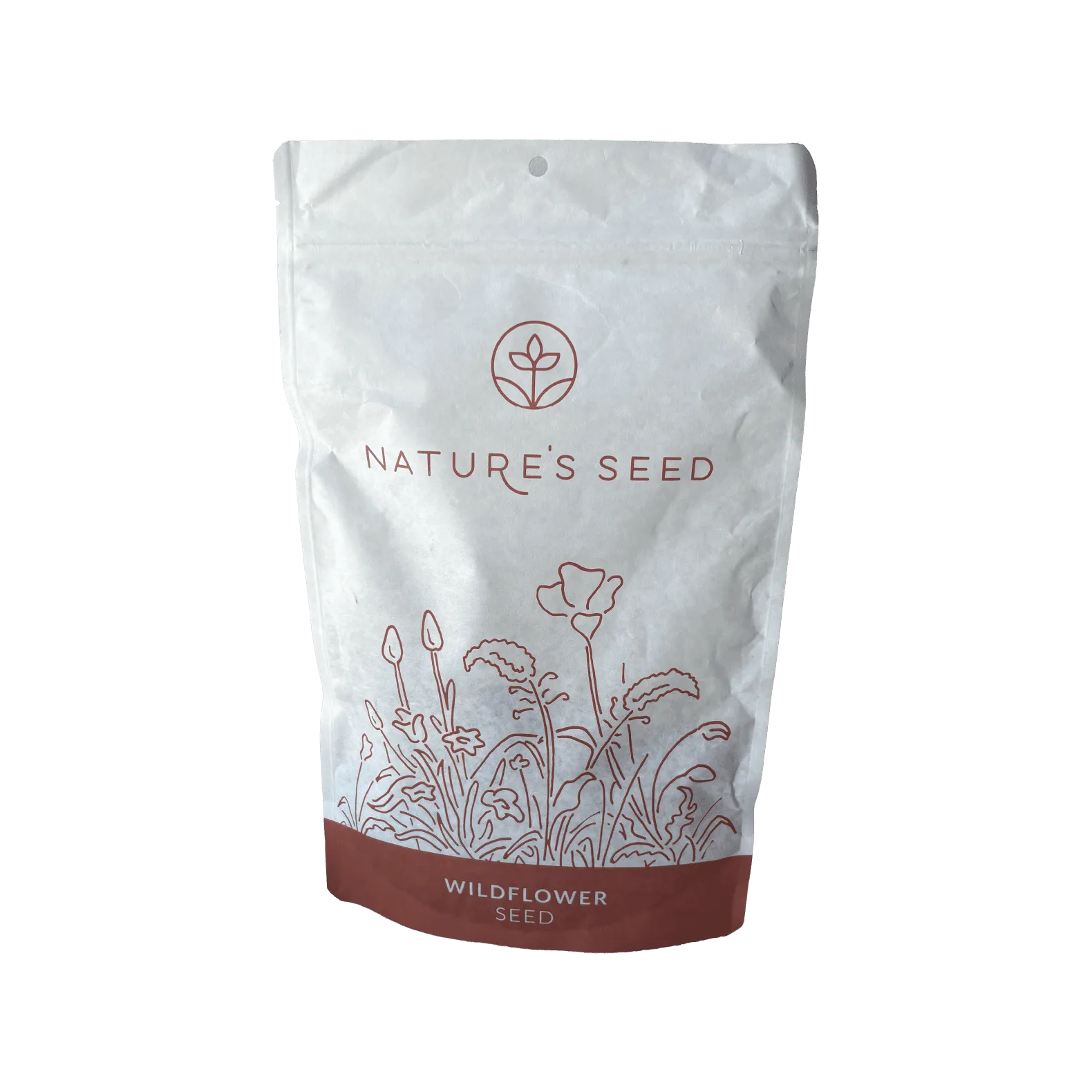 White Sage Seeds - Salvia Apiana Wildflower Seeds