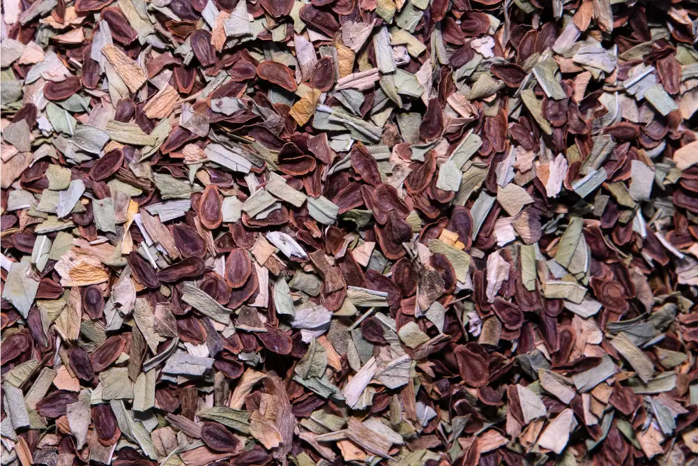 Premium seed you can trust