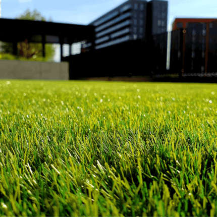 green grass field