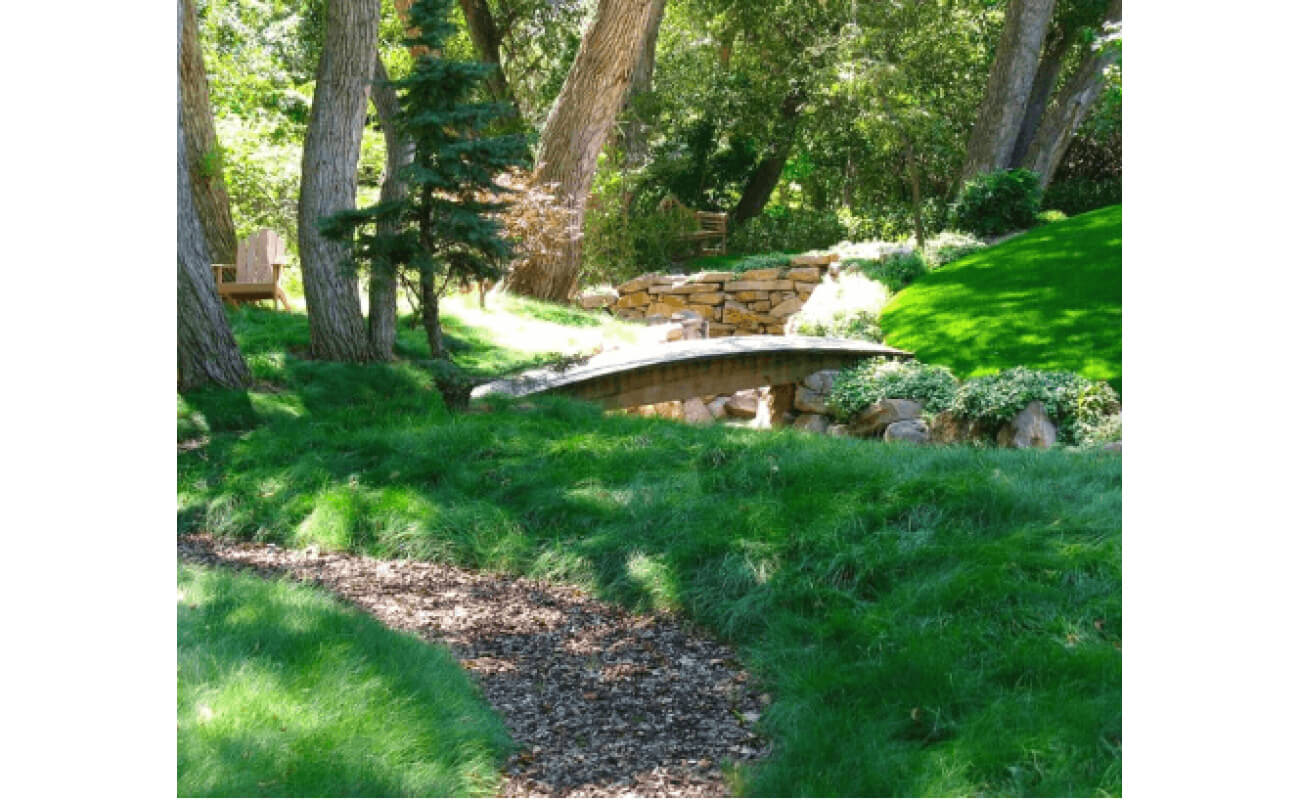 Fine Fescue Grass Seed Mix-5074