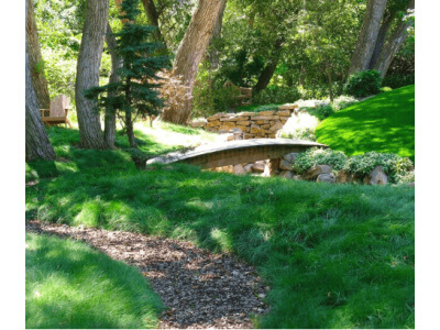 Fine Fescue Grass Seed Mix-5074