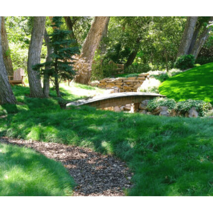 Fine Fescue Grass Seed Mix-5074