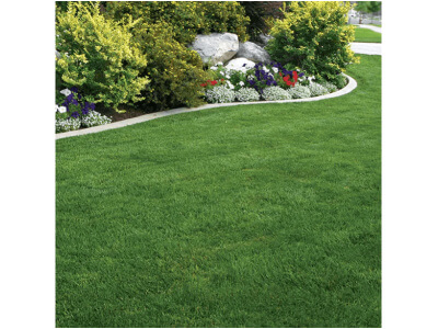 Kentucky Bluegrass Seed: Blue Ribbon Mix-5144
