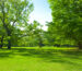 garden path in the morning