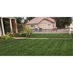 Kentucky Bluegrass Seed: Blue Ribbon Mix-1687