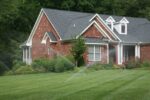 Triple-Play Turf Type Tall Fescue Seed Blend-1812