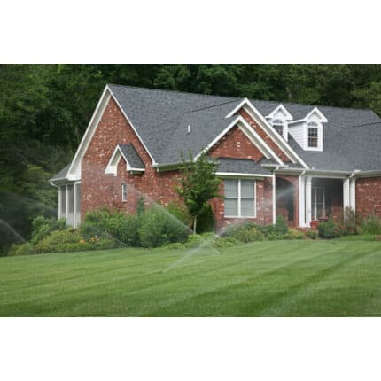 Triple-Play Turf Type Tall Fescue Seed Blend-1812