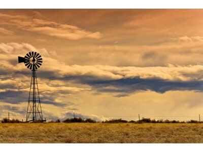 Great Plains Dryland Pasture Mix-3579