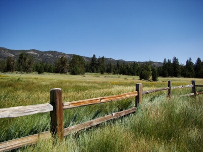 Pacific Southwest Dryland Pasture Mix-3611