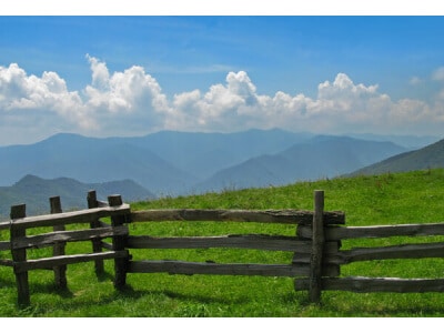 South-Atlantic Transitional Dryland Pasture Mix-3619