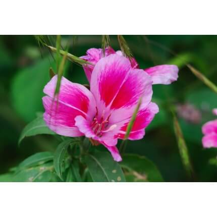 Farewell-To-Spring-1254