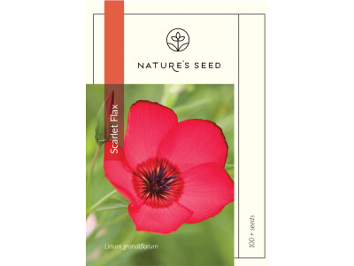 Scarlet Flax-0