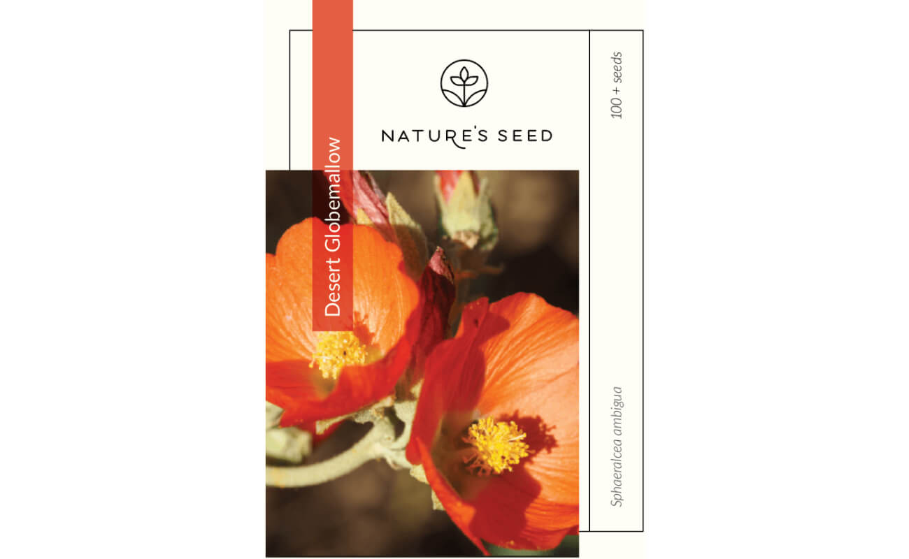 Desert Globemallow-0