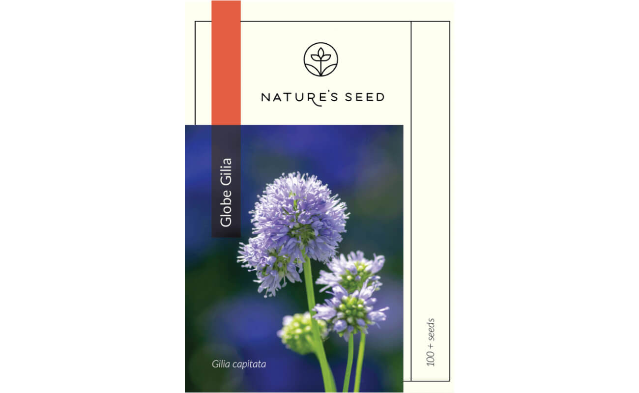 Globe Gilia-0
