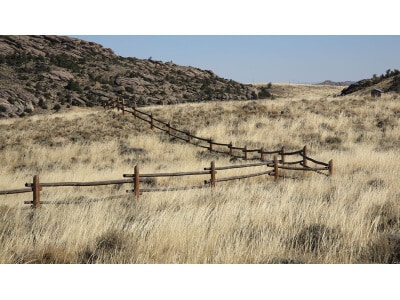 Intermountain West Erosion Control Mix-3491