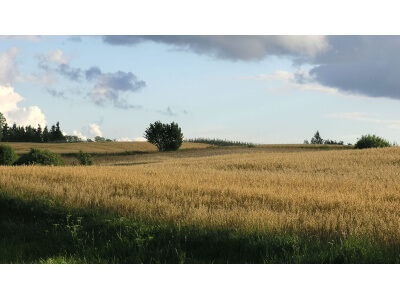 Mid-West/Mid-Atlantic Erosion Control Mix-3499