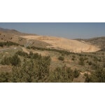 Pacific Southwest Erosion Control Mix-3515