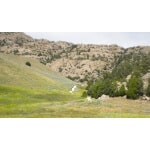 Southwest Semi-Arid Steppe Erosion Control Mix-3547