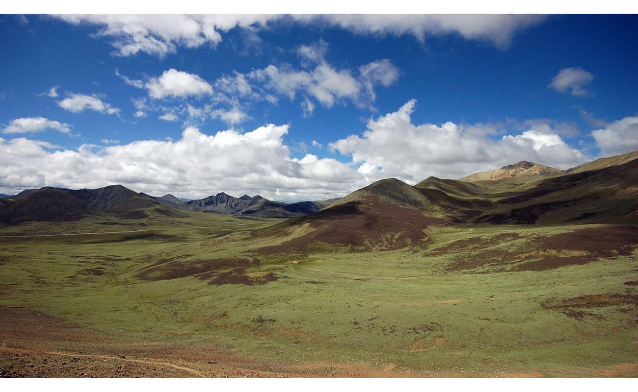 Southwest Desert Erosion Control Mix-3539