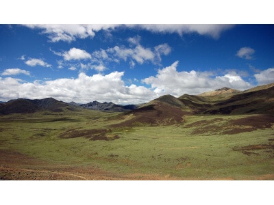 Southwest Desert Erosion Control Mix-3539
