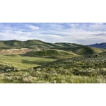 Southwest Transitional Erosion Control Mix-3555