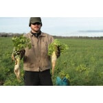 Forage Radish-2061