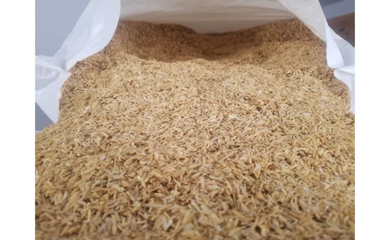 Rice Hulls-1032