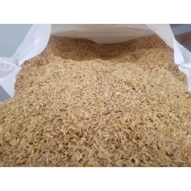 Rice Hulls-1032