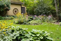 Lawn and garden