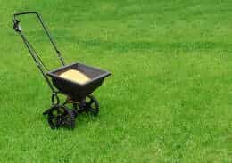 Fescue grass with fertilizer spreader