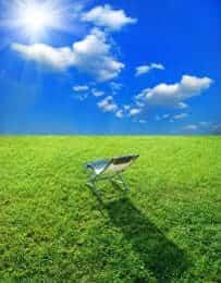Bermudagrass Requires Full Sun Sunny day on a lawn
