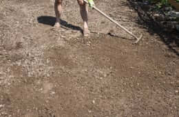 Raking soil