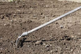 Raking Seed In