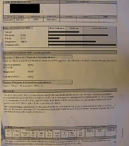 soil report