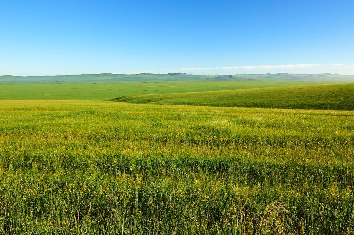 Southwest Semi-Arid Steppe