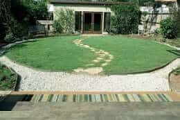 Buffalo grass lawn
