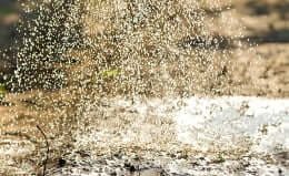 Watering the soil