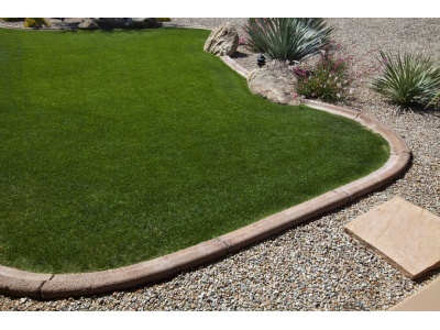 TWCA Water-Wise Bluegrass Blend-4064