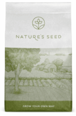 California Buckwheat-4955