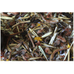 Chaparral Sage Scrub Mix-4931