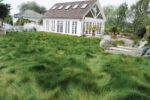Native Fine Fescue Mix-4180