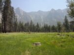 Tree stump in a grassy meadow in front of mountains and trees in El Capitan meadow in Yosemite National Park