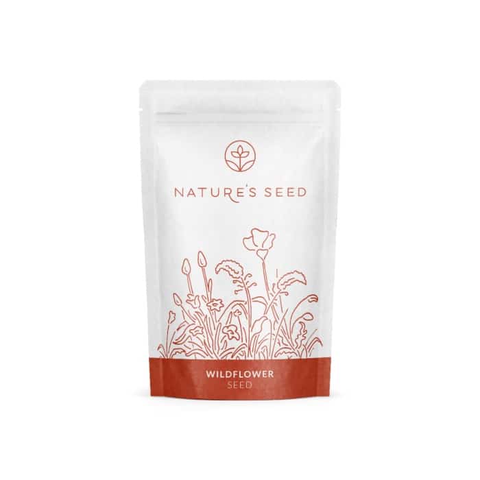 Bay Area Wildflower Mix-0