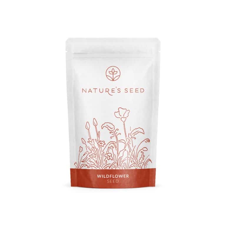 Bay Area Wildflower Mix-0
