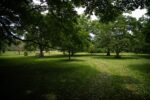 TWCA Water-Wise Shade Mix-5054