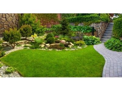 TWCA Water-Wise Northwest Mix-5061
