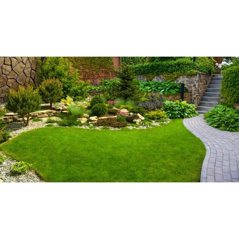 TWCA Water-Wise Northwest Mix-5061