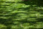 TWCA Water-Wise Shade Mix-5052
